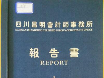 2014年财务审计报告